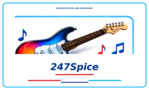 mvn-618-logo-011-247spice-1.png