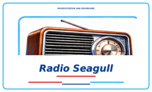 mvn-618-logo-125-radio-seagull-1.png