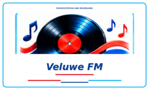 mvn-618-logo-298-veluwe-fm-1.png