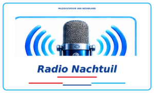 mvn-618-logo-398-radio-nachtuil-1.png