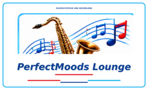 mvn-618-logo-405-perfectmoods-lounge-1.png
